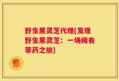野生黑灵芝代理(发现野生黑灵芝：一场稀有草药之旅)