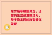 东方硒草破壁灵芝，让你的生活焕发新活力，举手投足间的改变等你发现