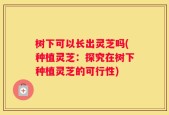 树下可以长出灵芝吗(种植灵芝：探究在树下种植灵芝的可行性)