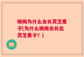 杨梅为什么会长灵芝果子(为什么杨梅会长出灵芝果子？)