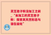 灵芝孢子粉没加工之前_“未加工的灵芝孢子粉：探索其天然形态与潜在益处”