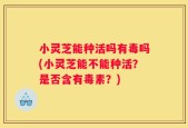 小灵芝能种活吗有毒吗(小灵芝能不能种活？是否含有毒素？)