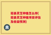 冠县灵芝种植怎么样(冠县灵芝种植项目评估及收益预测)