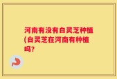 河南有没有白灵芝种植(白灵芝在河南有种植吗？