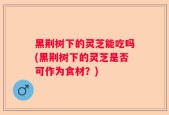 黑荆树下的灵芝能吃吗(黑荆树下的灵芝是否可作为食材？)