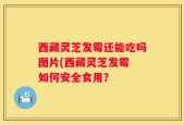 西藏灵芝发霉还能吃吗图片(西藏灵芝发霉 如何安全食用？