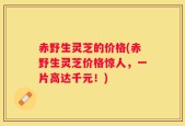 赤野生灵芝的价格(赤野生灵芝价格惊人，一片高达千元！)