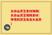 长白山灵芝素材视频(长白山灵芝视频素材：神奇的灵芝来自大自然)