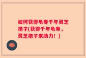如何获得龟寿千年灵芝孢子(获得千年龟寿，灵芝孢子来助力！)