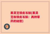黑灵芝铁皮石斛(黑灵芝和铁皮石斛：两种草药的秘密)