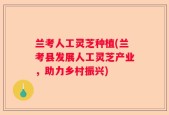 兰考人工灵芝种植(兰考县发展人工灵芝产业，助力乡村振兴)