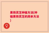 黑铁灵芝种植方法(种植黑铁灵芝的简单方法)