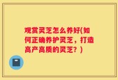 观赏灵芝怎么养好(如何正确养护灵芝，打造高产高质的灵芝？)