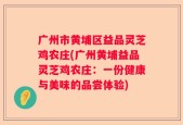 广州市黄埔区益品灵芝鸡农庄(广州黄埔益品灵芝鸡农庄：一份健康与美味的品尝体验)
