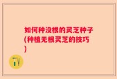 如何种没根的灵芝种子(种植无根灵芝的技巧)