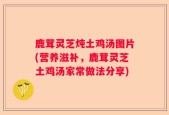 鹿茸灵芝炖土鸡汤图片(营养滋补，鹿茸灵芝土鸡汤家常做法分享)