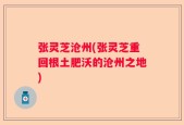张灵芝沧州(张灵芝重回根土肥沃的沧州之地)