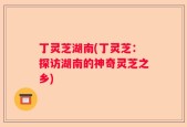丁灵芝湖南(丁灵芝：探访湖南的神奇灵芝之乡)