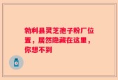 勃利县灵芝孢子粉厂位置，居然隐藏在这里，你想不到