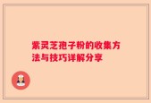 紫灵芝孢子粉的收集方法与技巧详解分享