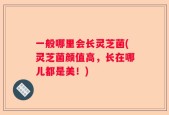 一般哪里会长灵芝菌(灵芝菌颜值高，长在哪儿都是美！)