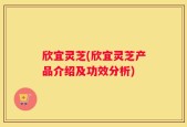 欣宜灵芝(欣宜灵芝产品介绍及功效分析)