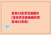 宝安22区灵芝园图片(宝安灵芝园美图欣赏区域22景色)