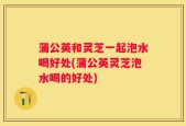 蒲公英和灵芝一起泡水喝好处(蒲公英灵芝泡水喝的好处)