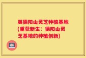 英德阳山灵芝种植基地(重获新生：德阳山灵芝基地的种植创新)