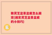 做灵芝盆景盆底怎么固定(固定灵芝盆景盆底的小技巧)