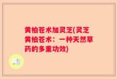 黄柏苍术加灵芝(灵芝黄柏苍术：一种天然草药的多重功效)