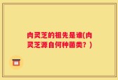 肉灵芝的祖先是谁(肉灵芝源自何种菌类？)