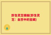 野生灵芝模板(野生灵芝：自然中的宝藏)