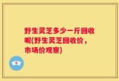 野生灵芝多少一斤回收呢(野生灵芝回收价，市场价观察)
