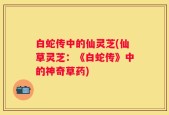 白蛇传中的仙灵芝(仙草灵芝：《白蛇传》中的神奇草药)
