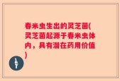 春米虫生出的灵芝菌(灵芝菌起源于春米虫体内，具有潜在药用价值)