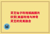 灵芝仙子玫瑰插画图片欣赏(美丽玫瑰与神奇灵芝的完美融合