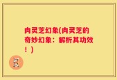 肉灵芝幻象(肉灵芝的奇妙幻象：解析其功效！)