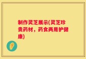 制作灵芝展示(灵芝珍贵药材，药食两用护健康)