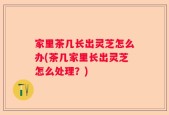 家里茶几长出灵芝怎么办(茶几家里长出灵芝怎么处理？)