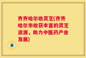 齐齐哈尔收灵芝(齐齐哈尔市收获丰富的灵芝资源，助力中医药产业发展)