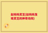 赵妈妈灵芝(赵妈妈发现灵芝的神奇功效)
