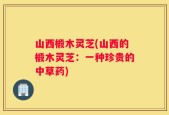 山西椴木灵芝(山西的椴木灵芝：一种珍贵的中草药)