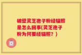 破壁灵芝孢子粉经辐照是怎么回事(灵芝孢子粉为何要经辐照？)