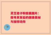灵芝孢子粉胶囊图片：探寻其背后的健康奥秘与独特功效