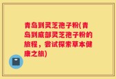 青岛到灵芝孢子粉(青岛到底部灵芝孢子粉的旅程，尝试探索草本健康之旅)
