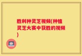 胜利种灵芝视频(种植灵芝大赛中获胜的视频)