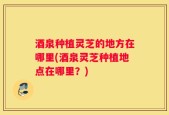 酒泉种植灵芝的地方在哪里(酒泉灵芝种植地点在哪里？)