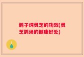 鸽子炖灵芝的功效(灵芝鸽汤的健康好处)