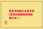 灵芝中间是什么样子的(灵芝内部结构的特征是什么？)